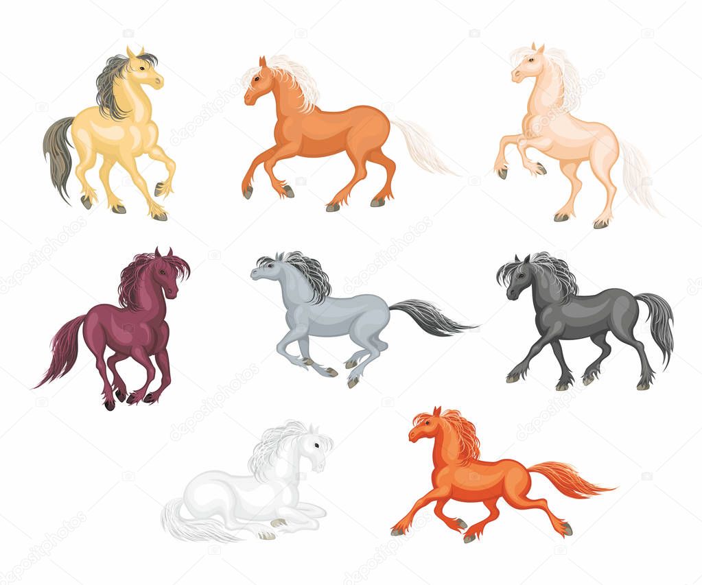 The realistic images of a beautiful horses on a white background. Vector illustration set.