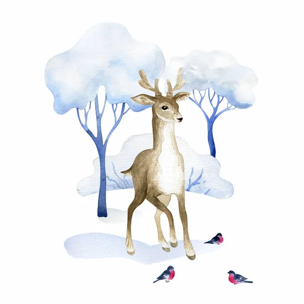 美しい鹿だ 白地に描かれた手描き水彩画 — ストック写真