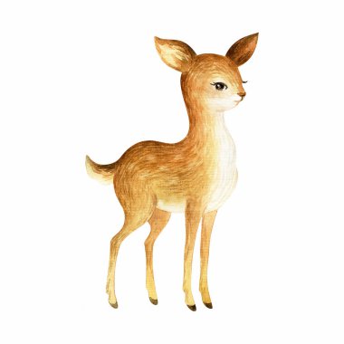 Sevimli bebek geyik. Beyaz arkaplanda elle boyanmış suluboya resimleme.