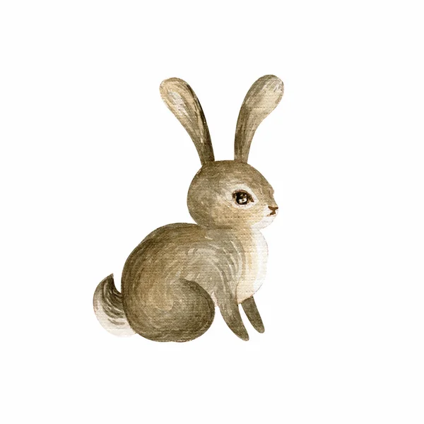 Cute Rabbit Hand Painted Watercolor Illustration Isolated White Background — Stock Photo, Image