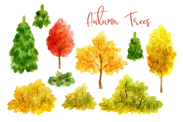 Árvores Outono Definidas Ilustrações Pintadas Mão Aquarela Isoladas Sobre Fundo — Fotografia de Stock