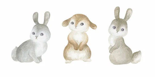 Carino Coniglietto Pasquale Con Fiori Primaverili Illustrazione Dipinta Mano Acquerello — Foto Stock