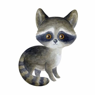  Şirin rakun. Beyaz arkaplanda elle boyanmış suluboya resimleme.