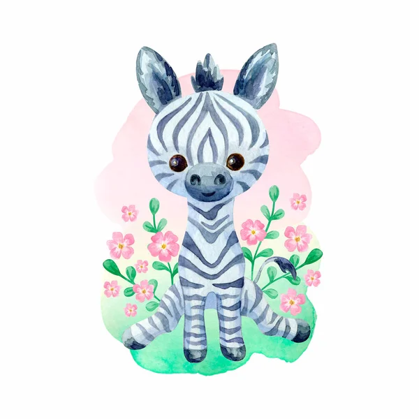 Słodka Zebra Ręcznie Malowane Ilustracja Akwarela Izolowane Białym Tle — Zdjęcie stockowe