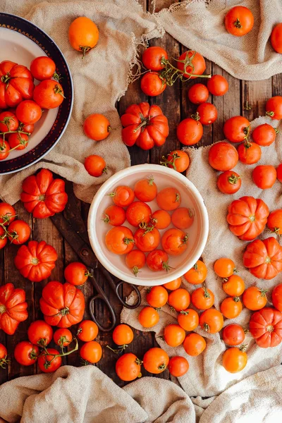 Vegyes saláta retekkel. Caprese saláta. Cseresznye paradicsom, mozzarella — Stock Fotó