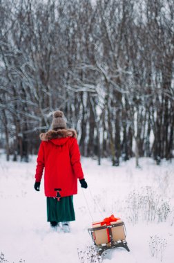 Kışın kar kucaklayan genç çekici kız. Kış portr