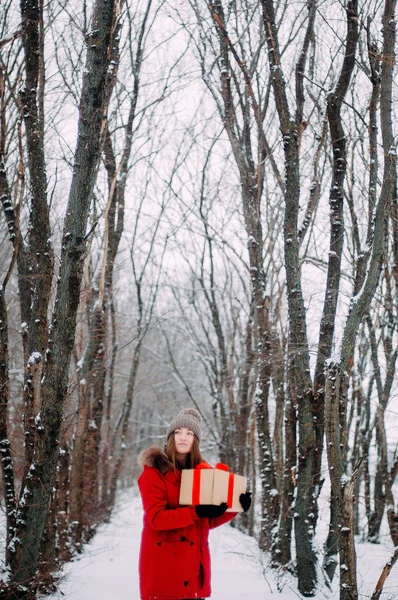 Jeune fille attrayante embrassant la neige en hiver. Portr d'hiver — Photo