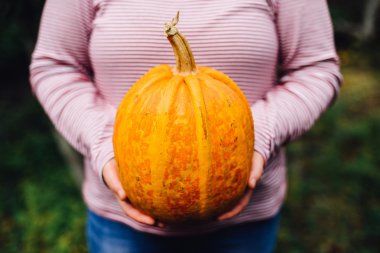 Olgun, organik, turuncu elinde kabak. Güneşli sonbahar günü. A yo