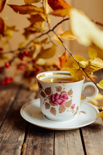 Tee im rustikalen schicken Stil. Tea Party. grüner Tee in einer Tasse und — Stockfoto