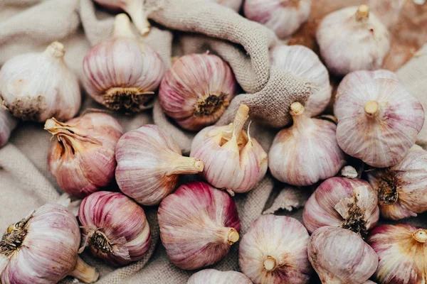 Close-up garlic bulbs and garlic cloves on wodeen background. Ga