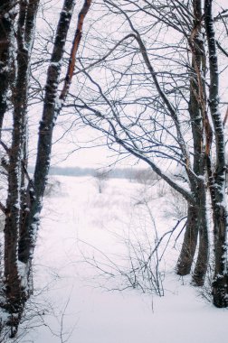 Kışın kar kucaklayan genç çekici kız. Kış portr