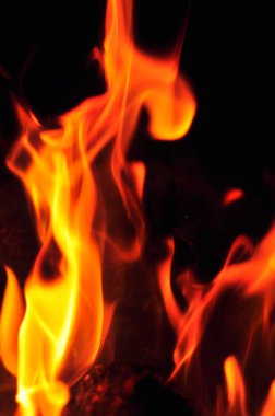 Siyah bir zemin üzerine alevler ateş. Yangın alev doku geri blaze