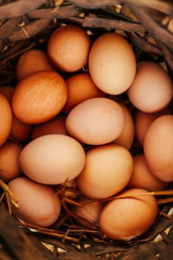 Sepette yumurta kapatın. Üstten Görünüm kasede yumurta. Kahverengi e