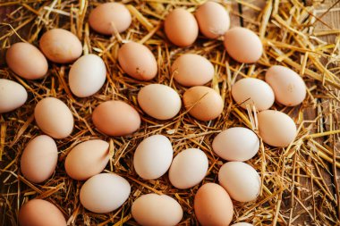 Sepette yumurta kapatın. Üstten Görünüm kasede yumurta. Kahverengi e