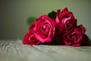 Ahşap antika tablo kopya alanı ile kırmızı gül