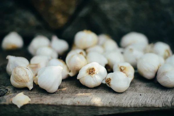 Garlic. Garlic Cloves and Garlic Bulb i — Stock Photo, Image