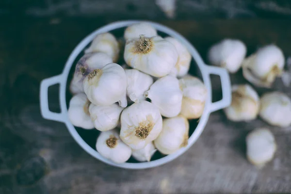 Garlic. Garlic Cloves and Garlic Bulb — Stock Photo, Image