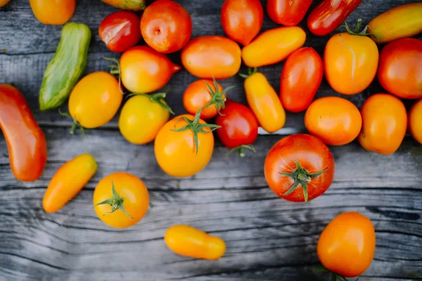 Pendekatan segar, tomat matang di latar belakang kayu — Stok Foto