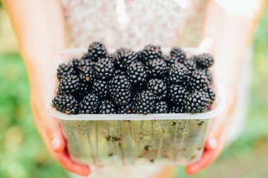 Böğürtlen baske ile ana hasat mevsiminde malzeme çekme eller