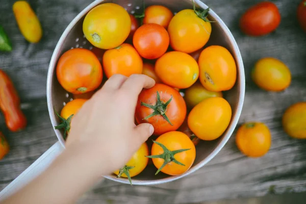 Close-up of fresh, ripe tomatoes on wood background — Stock Photo, Image
