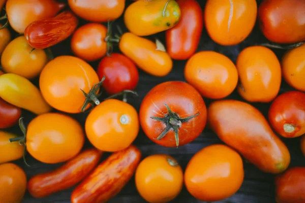 Pendekatan segar, tomat matang di latar belakang kayu — Stok Foto