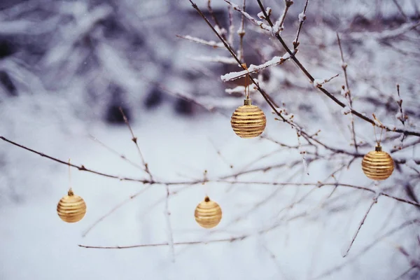 Jul leksak på ett fir-träd nära upp jul leksak på ett fir-träd — Stockfoto