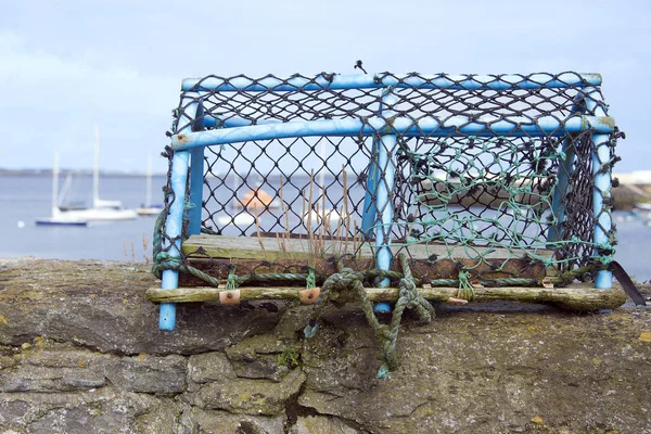 Istakoz Pot dock duvar