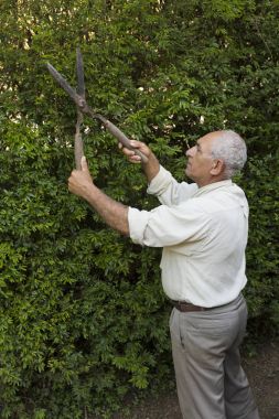  Komuta sizde bahçıvan bir çit kesme