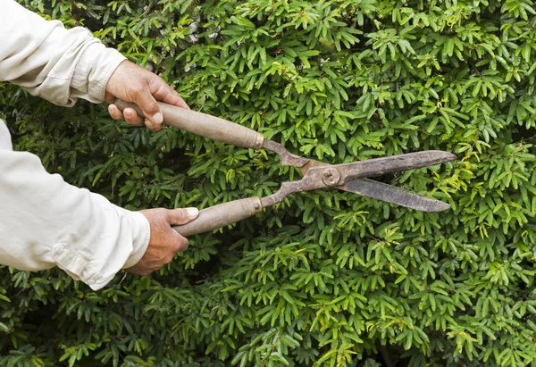Fechamento de Mãos que cortam uma cerca — Fotografia de Stock