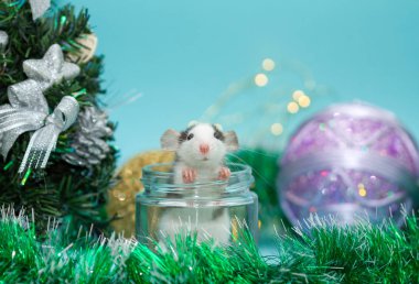 Cam kavanozdaki şirin fare Noel süslemeleriyle çevrili. 