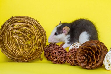 Sarı arka planda doğal süslemeleri olan sevimli bir fare.