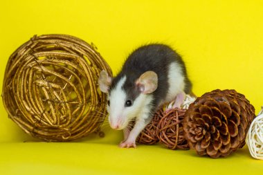 Sarı arka planda doğal süslemeleri olan sevimli bir fare.