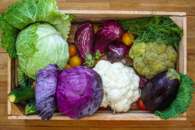 Taze sebzeler - lahana, havuç, kabak, patlıcan ve domatesler marketteki tahta kutuda.
