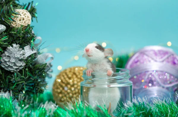 Rato Bonito Frasco Vidro Cercado Com Decorações Natal — Fotografia de Stock