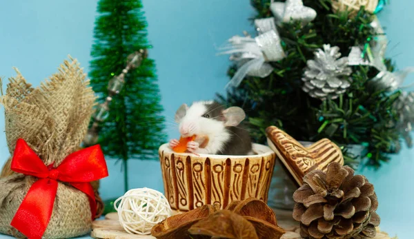 Schattig Rat Klei Beker Omgeven Met Kerst Decoraties — Stockfoto