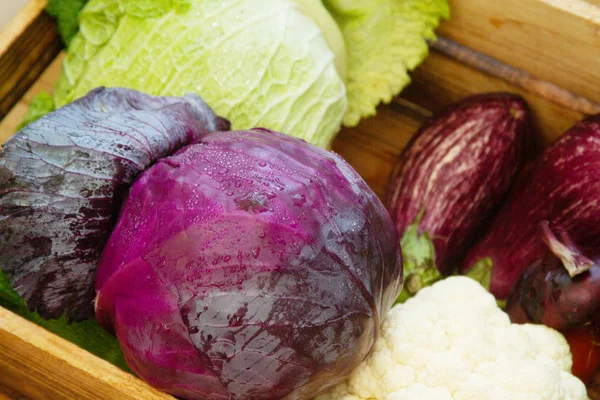 Verduras Frescas Col Zanahorias Calabacín Berenjena Tomates Una Caja Madera — Foto de Stock