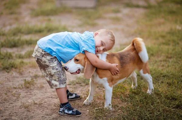 Engelli bir çocuğun günlük hayatı. Down sendromlu bir çocuk köpeklerle oynar. Kromozom ve genetik bozukluk..