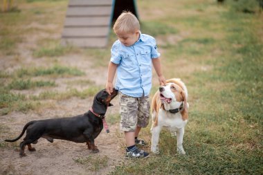 Engelli bir çocuğun günlük hayatı. Down sendromlu bir çocuk köpeklerle oynar. Kromozom ve genetik bozukluk..
