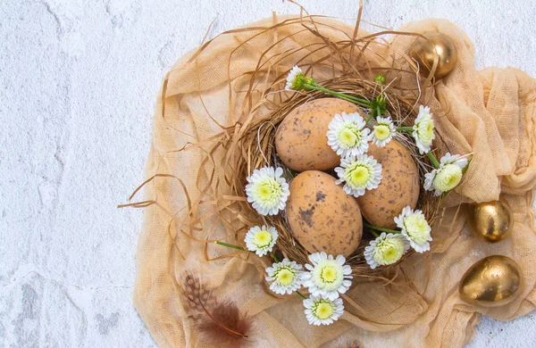Easter Composition Religious Concept Chicken Eggs Nest — Fotografia de Stock