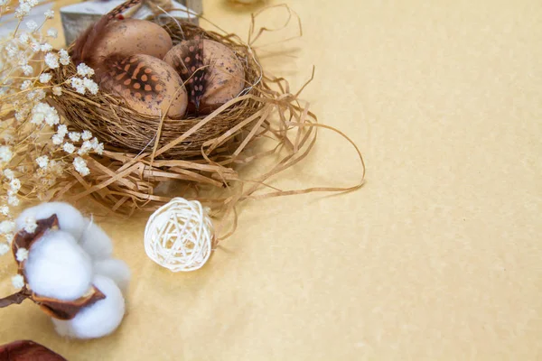 Easter Composition Religious Concept Chicken Eggs Nest Bird Feathers Cotton — Fotografia de Stock