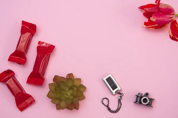 三个红色的糖果 一个仙人掌和一个电脑闪存驱动器平面放在粉色的背景上 — 图库照片