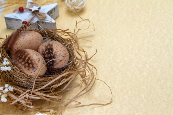 Ovos Páscoa Ninho Com Uma Pena Pássaro Conceito Zero Resíduos — Fotografia de Stock