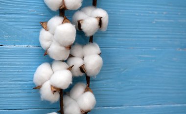 Ahşap arka planda pamuk çiçekler.