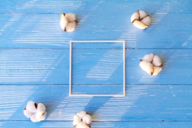 Mavi ahşap arka planda pamuk çiçekleri.