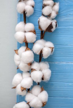 Ahşap arka planda pamuk çiçekler.