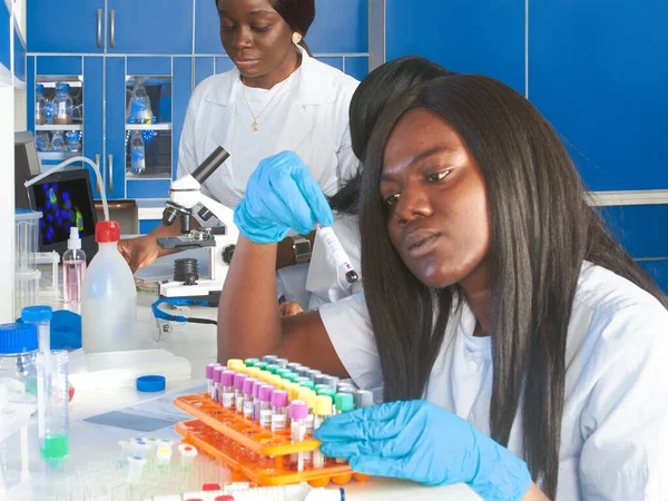 Yeni koronavirüsteki nükleik asit için PCR analizi. COVID-19 pcr nükleik asit taraması devam ediyor. Genç Afrikalı kadın bilim adamları, tıp uzmanları test laboratuarında çalışıyor. Kan, ağız örnekleri.