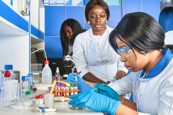 アフリカの医学生 科学者 研究室で働く若い女性 医療テスト研究室 様々な物質の品質管理 実験環境 生物学 化学の基礎研究 — ストック写真