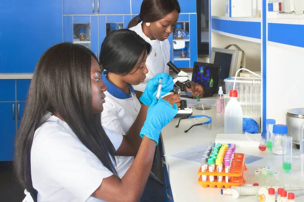 Genç Afrikalı kadın teknisyenler veya bilim adamları test laboratuarında tıbbi kan örnekleriyle çalışıyorlar. SARS-Cov-2 virüsünden kaynaklanan viral pnömoni Covid-19 hastalarından alınan örneklerin taranması.
