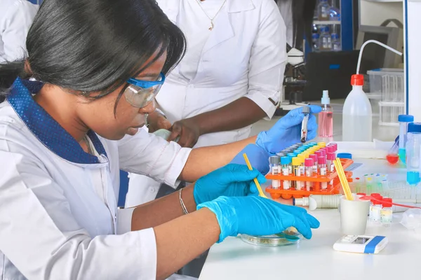 Quality control of various substances in test lab. African medical student puts on nitril gloves. Team of young scientists, young women working in research laboratory, medical test lab.