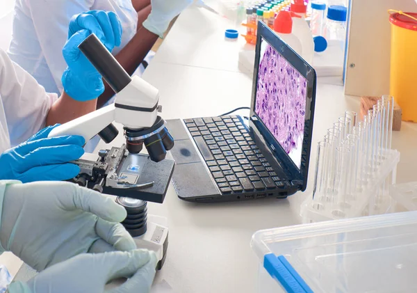 Afrikanische Technikerinnen Wissenschaftler Weißen Kittel Und Handschuhe Machen Pcr Test — Stockfoto